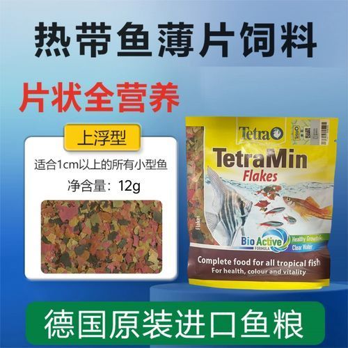 有哪些品牌飼料魚值得推薦？