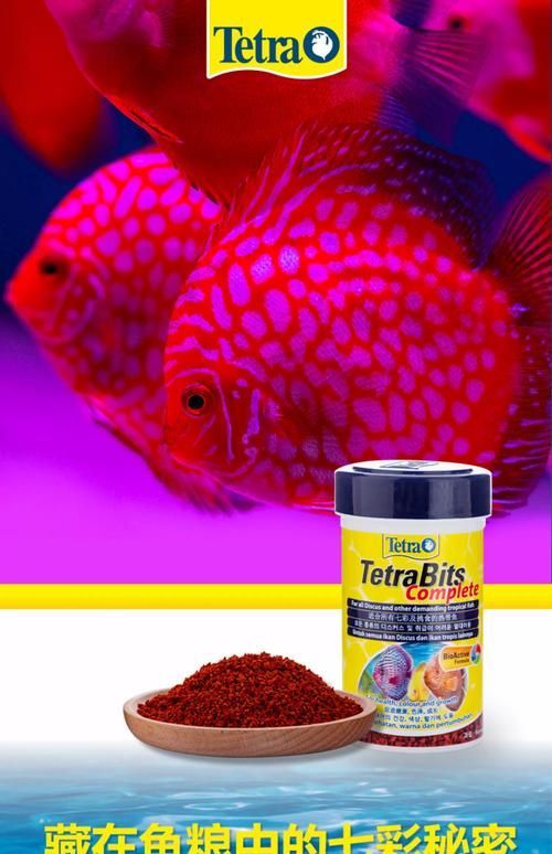 有哪些品牌飼料魚值得推薦？