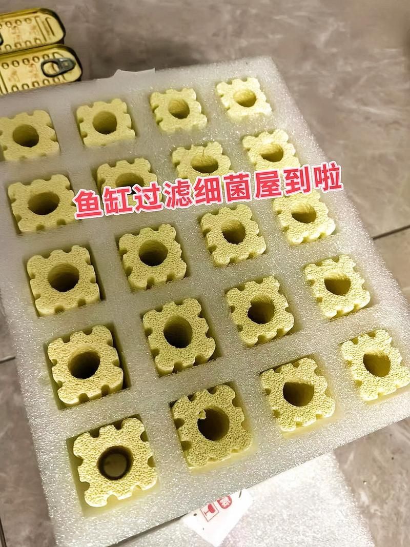 哪些品牌細菌屋性價比最高