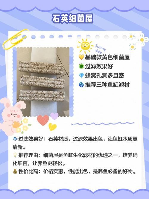 哪些品牌細菌屋性價比最高