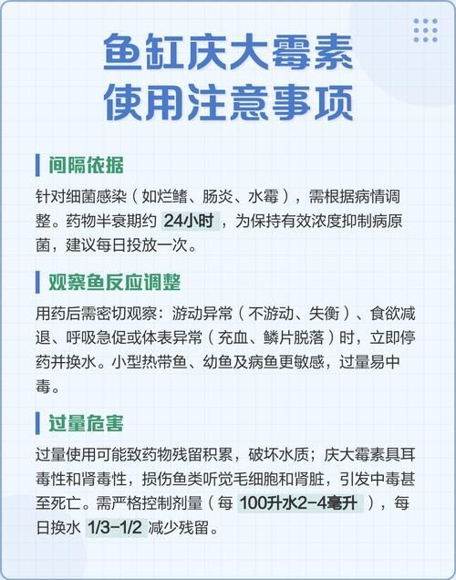 龍魚龍須感染后如何治療，免珊瑚砂、石灰石、龍魚龍須感染治療方案