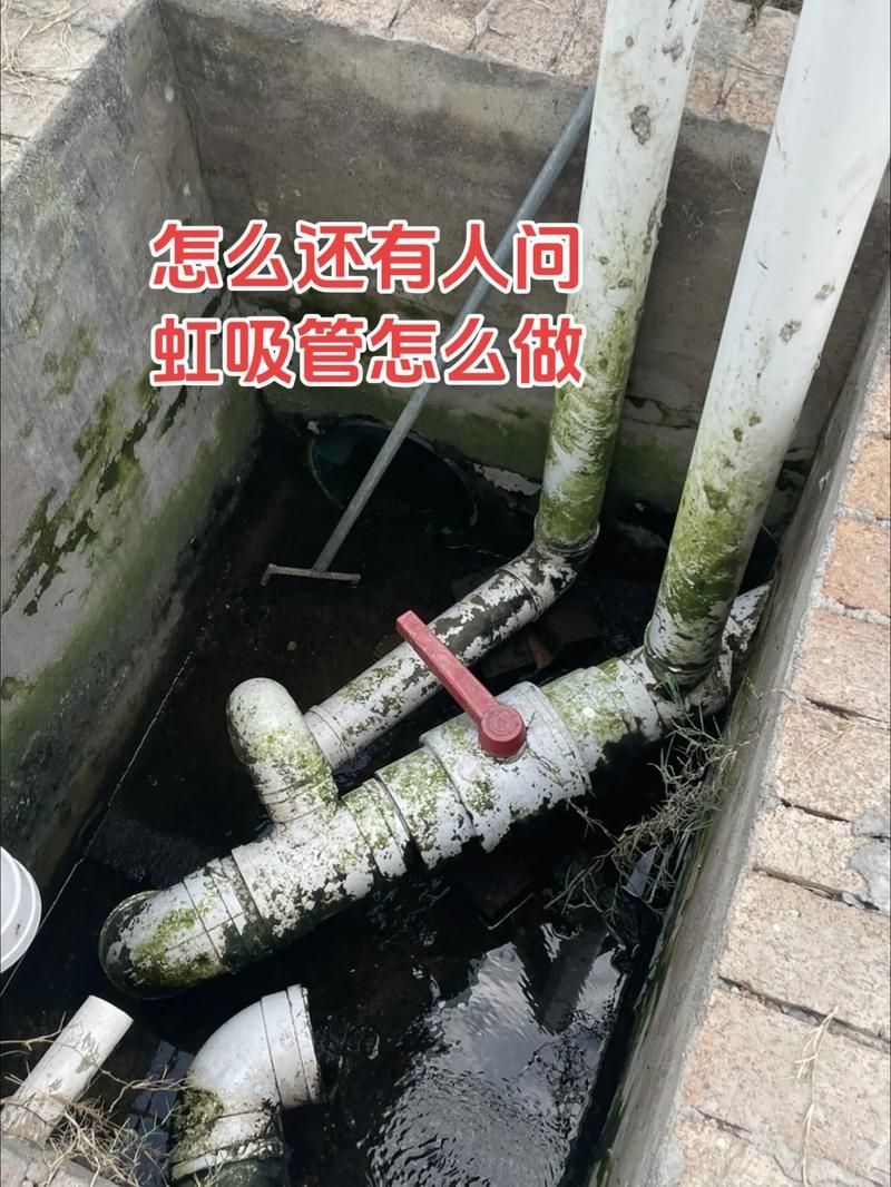 魚缸手動清理步驟，魚缸手動清理全流程詳解