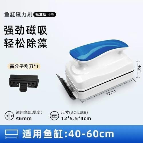 魚缸手動清理步驟，魚缸手動清理全流程詳解