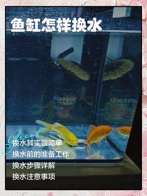 魚缸手動清理步驟，魚缸手動清理全流程詳解