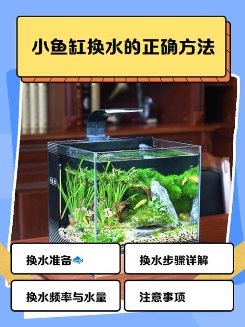 魚缸手動清理步驟，魚缸手動清理全流程詳解