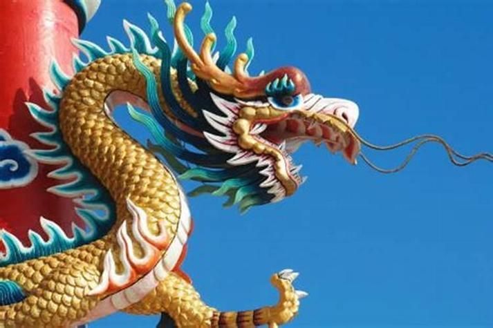 短身紅龍魚的市場走勢如何，短身紅龍魚市場走勢