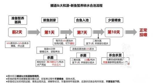 如何預防錦鯉爛尾病復發，如何預防錦鯉爛尾病