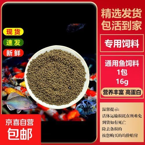 龍魚餌料的價格范圍是多少？，龍魚餌料價格從3.5元到50元以上，龍魚餌料價格更具優(yōu)勢