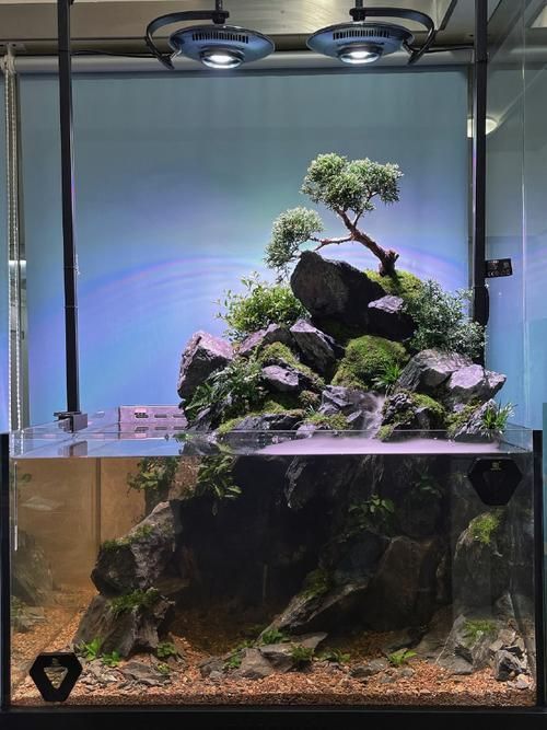 如何選擇適合的橫放缸和豎放缸，如何選擇一個適合的水族缸