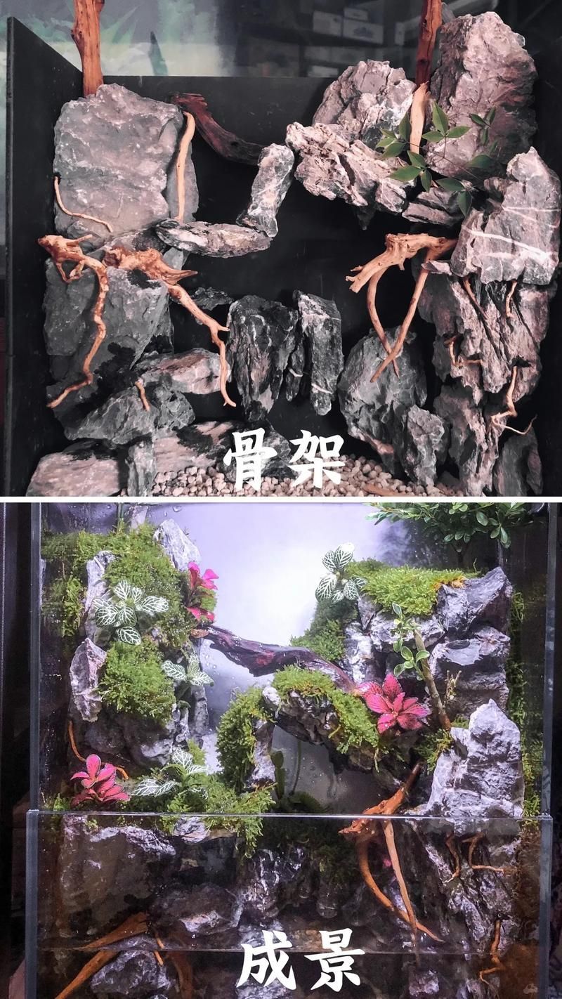 如何選擇適合的橫放缸和豎放缸，如何選擇一個(gè)適合的水族缸