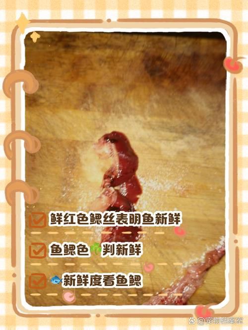 如何判斷鰓病是否好轉