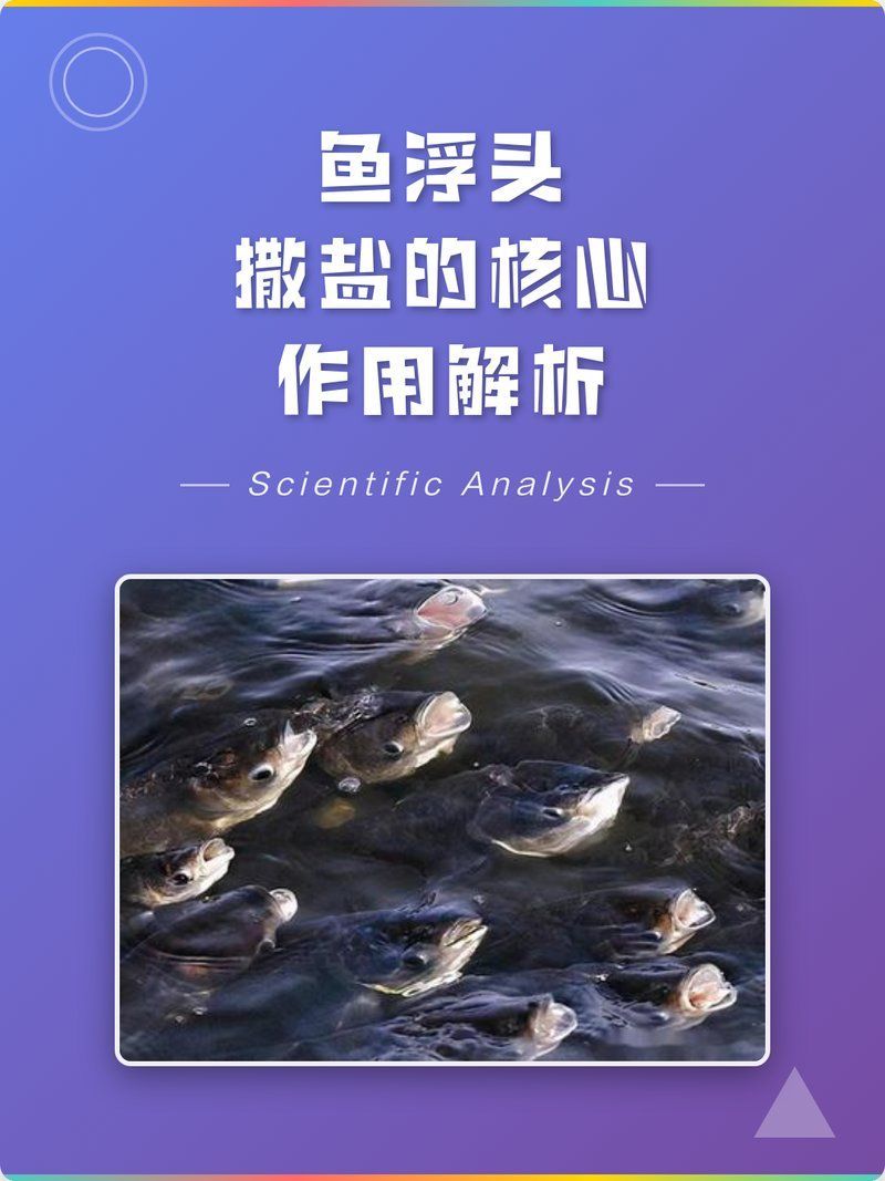 魚浮頭時撒鹽的正確方法，魚浮頭撒鹽的正確方法