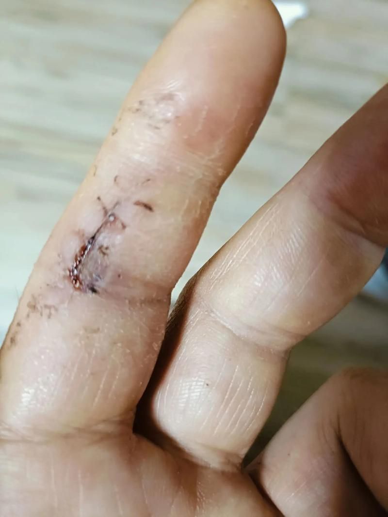 能否提供龍魚傷口愈合的詳細圖片，龍魚傷口愈合的詳細圖片描述：龍魚傷口愈合過程的詳細圖片描述