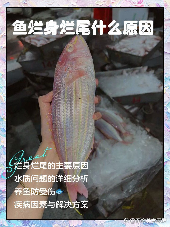 有哪些中藥可以治療魚(yú)爛身，中藥治療魚(yú)爛身的方法