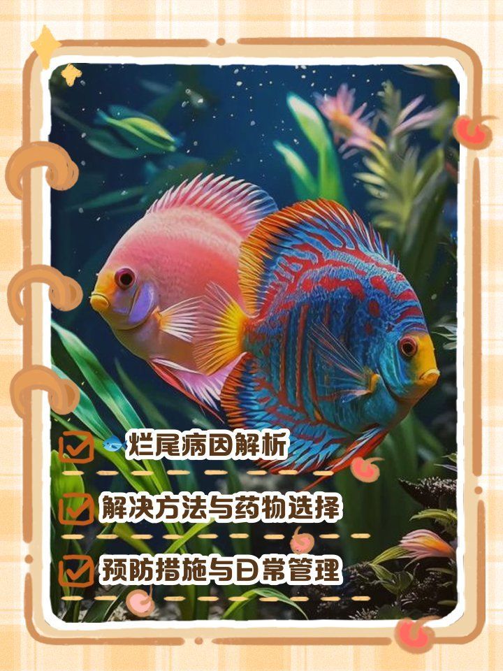 如何預防龍魚爛鱗，愛寵食尚，龍魚爛鱗怎么回事