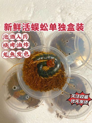給我推薦一些適合龍魚發色的餌料