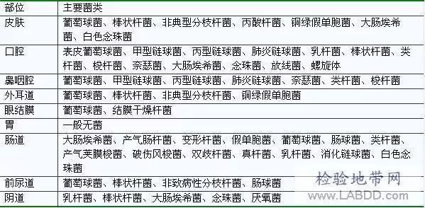 如何區(qū)分真菌和細(xì)菌的耐藥性，如何區(qū)分真菌與細(xì)菌的耐藥性