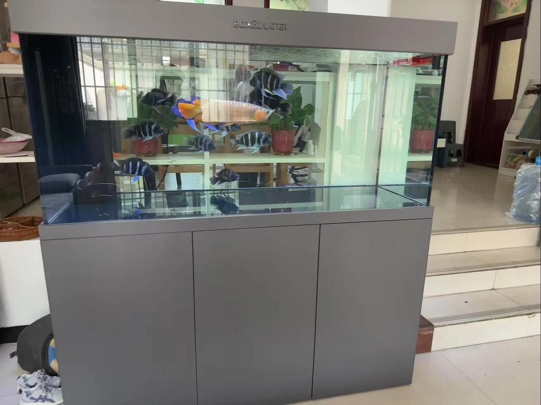 博特水族哪個(gè)系列最好？