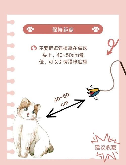 如何訓練貓不捕魚，訓練貓不捕魚