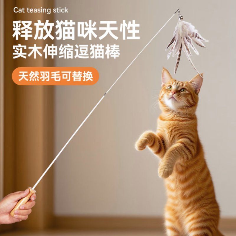 如何訓練貓不捕魚，訓練貓不捕魚