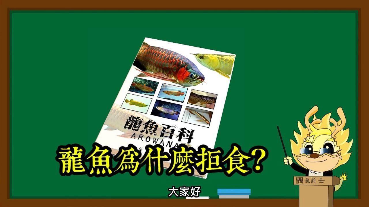 龍魚不開口會餓死嗎？，龍魚不開口會餓死嗎