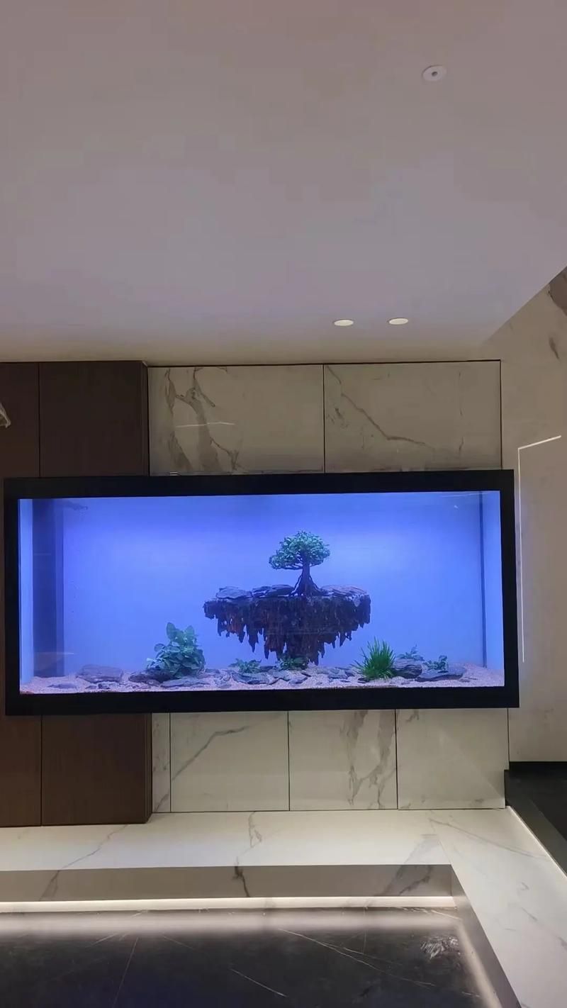 可麗愛魚缸哪個型號最受歡迎？，可麗愛魚缸哪個型號最受歡迎