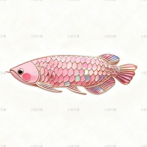 給我推薦一些龍魚紀念品
