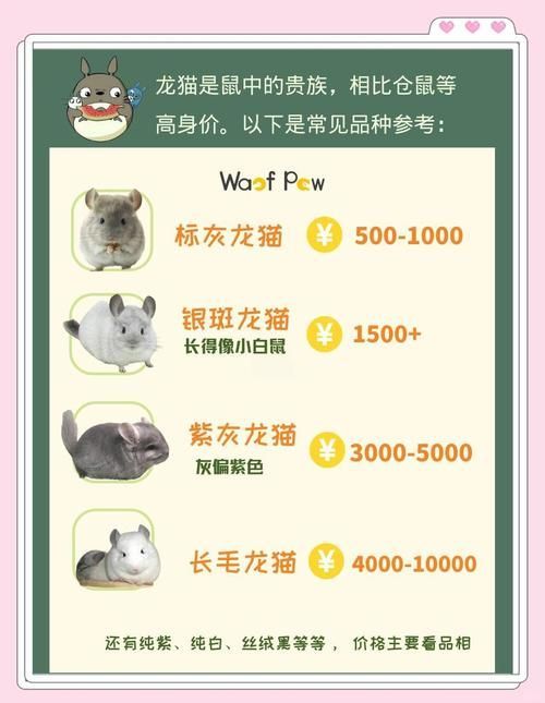 能提供一張關于龍貓壽命的插圖嗎