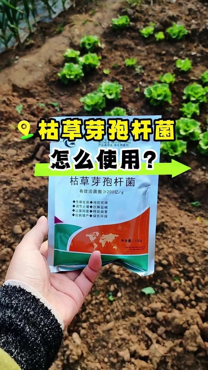 有哪些生物藥劑可以防治龍眼爛尾病，防治龍眼爛尾病的方法