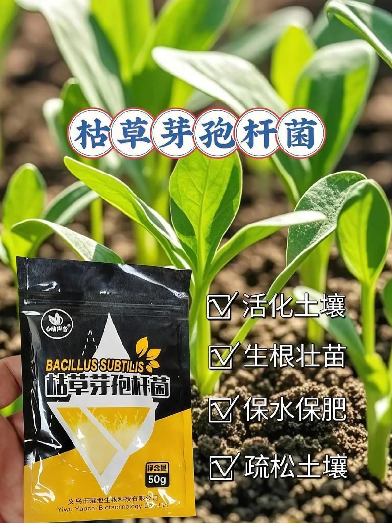 有哪些生物藥劑可以防治龍眼爛尾病，防治龍眼爛尾病的方法