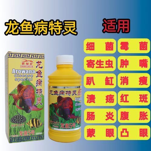 如何判斷龍魚須子爛了是否嚴重