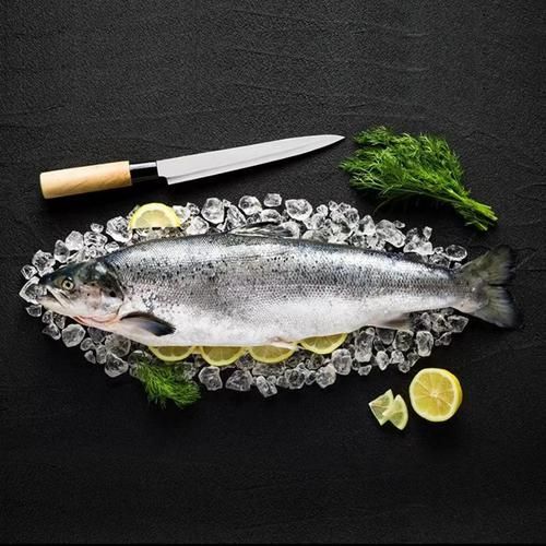 十大品牌魚哪個口碑最好，十大品牌魚哪個口碑最好挪威三文魚哪個口碑最好