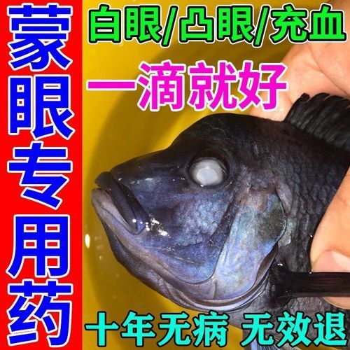 哪種藥物對金龍魚蒙眼病最有效，金龍魚蒙眼病使用方法
