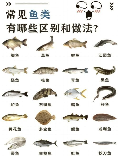 如何預防魚黑色霉斑的再次發生