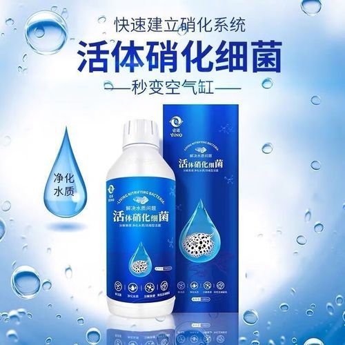 給我推薦幾款類似龍魚1號的護理劑，“龍魚1號的護理劑”是什么類似龍魚1號的護理劑