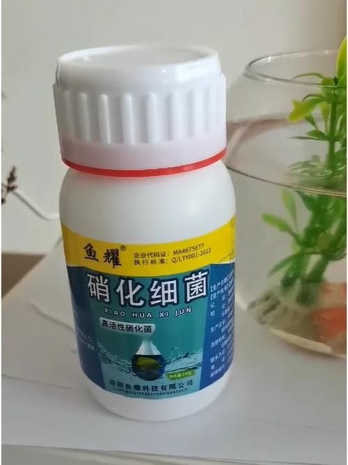 給我推薦幾款類似龍魚1號的護理劑，“龍魚1號的護理劑”是什么類似龍魚1號的護理劑