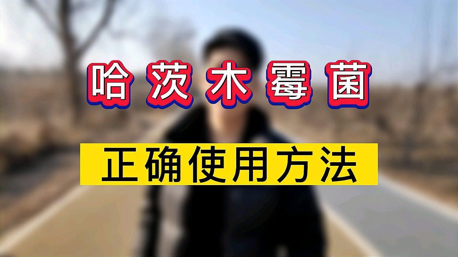 有哪些有效的龍眼爛尾病藥劑
