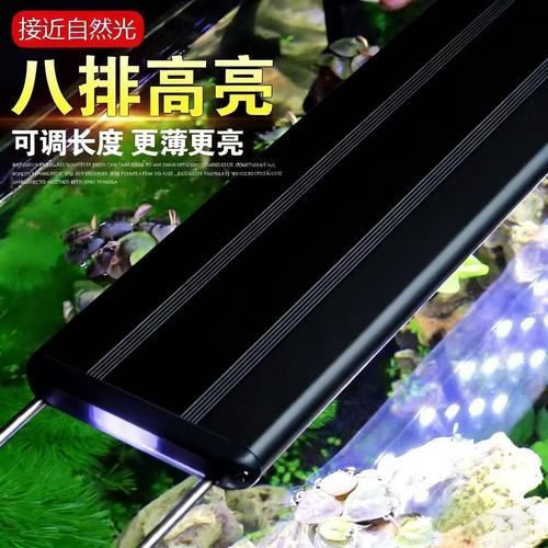 有哪些品牌的龍魚燈光推薦？，有哪些品牌的龍魚燈光推薦?