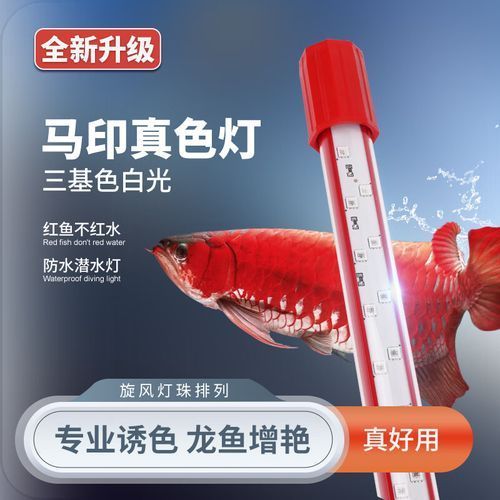 有哪些品牌的龍魚燈光推薦？，有哪些品牌的龍魚燈光推薦?