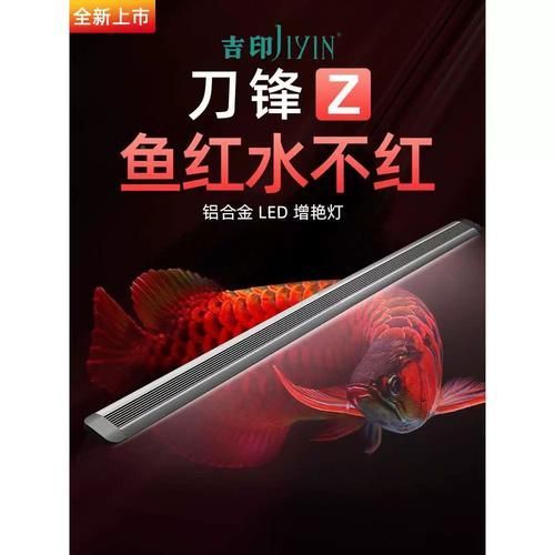 有哪些品牌的龍魚燈光推薦？，有哪些品牌的龍魚燈光推薦?
