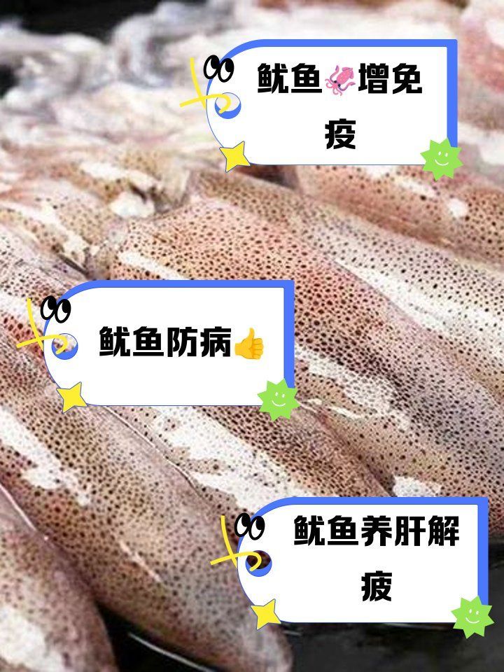 魷龍魚有哪些營養價值？，魷魚有哪些營養價值？