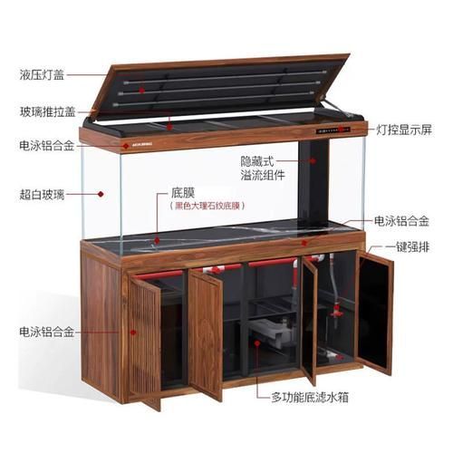 十大龍魚魚缸品牌排行榜中有哪些品牌？，十大龍魚缸品牌排行榜
