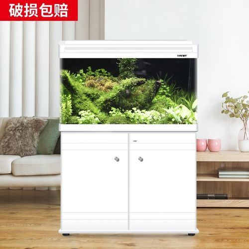 十大龍魚魚缸品牌排行榜中有哪些品牌？，十大龍魚缸品牌排行榜