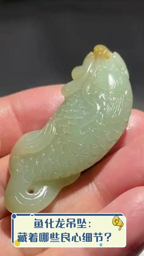 化州龍魚的市場價格，化州龍魚市場價格