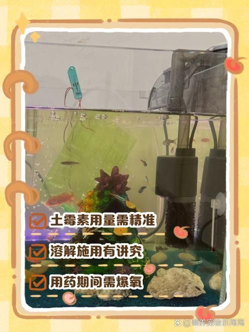 金魚傷口感染后如何治療，金魚傷口感染后如何治療金魚傷口感染后的治療方法