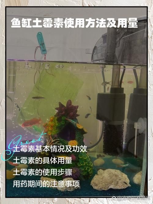 金魚傷口感染后如何治療，金魚傷口感染后如何治療金魚傷口感染后的治療方法