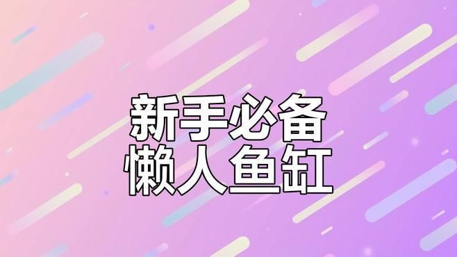 有哪些適合新手的小魚缸推薦，適合新手養(yǎng)魚新手養(yǎng)魚新手養(yǎng)魚魚缸推薦07智能魚缸