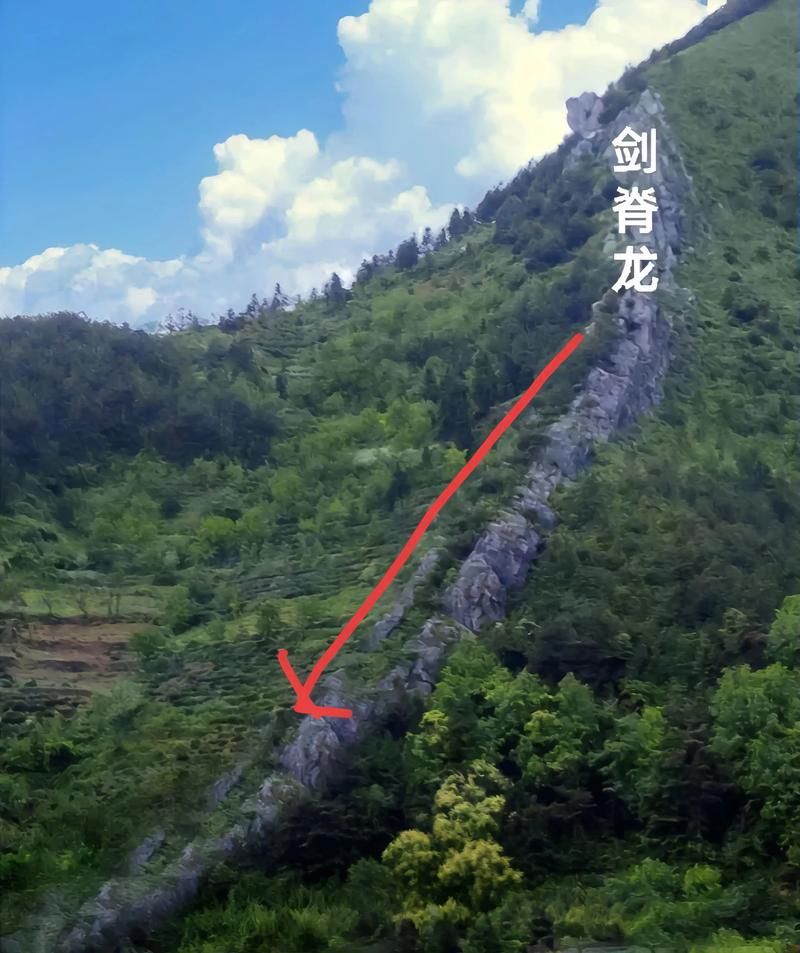 提供幾張龍形地的風(fēng)水圖片，如何判斷一塊地是否屬于龍形地