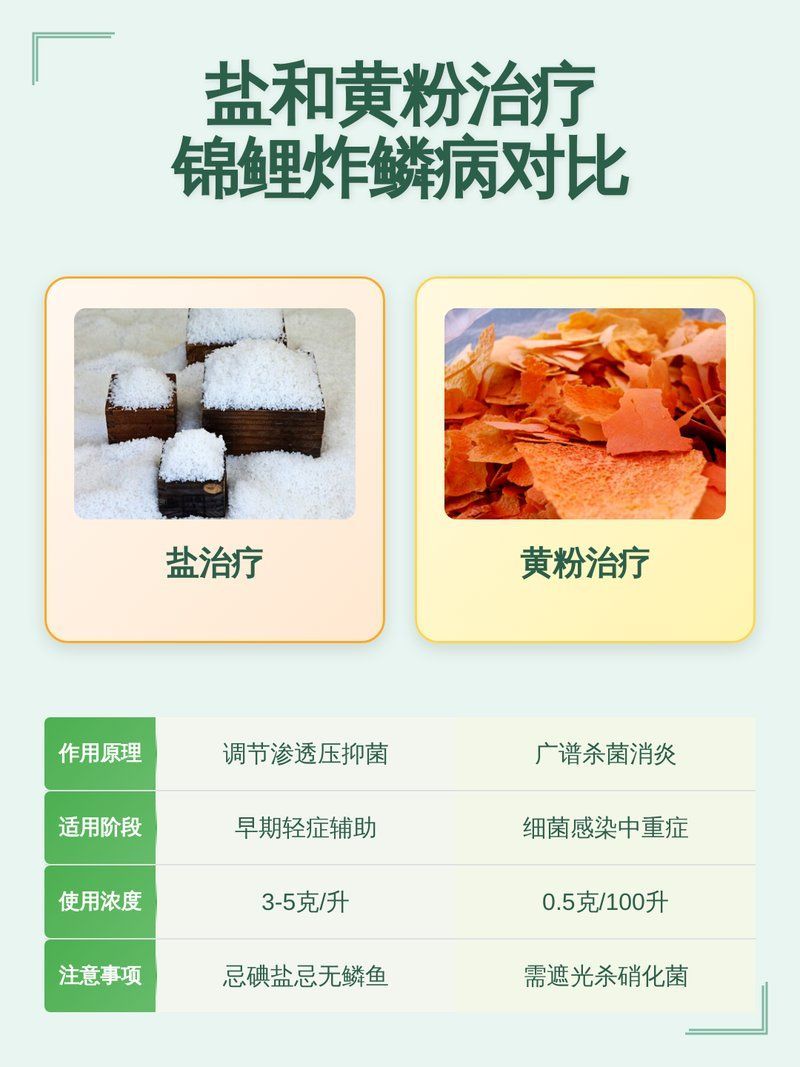 炸鱗病如何治療最有效