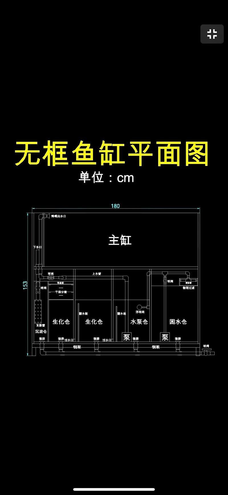 裸缸養(yǎng)魚(yú)有哪些注意事項(xiàng)
